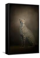 The Elegant Cheetah-Jai Johnson-Framed Stretched Canvas