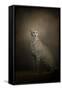 The Elegant Cheetah-Jai Johnson-Framed Stretched Canvas