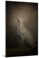 The Elegant Cheetah-Jai Johnson-Mounted Giclee Print