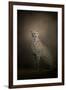 The Elegant Cheetah-Jai Johnson-Framed Giclee Print