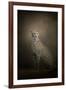 The Elegant Cheetah-Jai Johnson-Framed Giclee Print