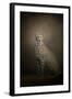 The Elegant Cheetah-Jai Johnson-Framed Giclee Print