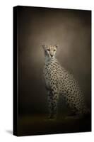 The Elegant Cheetah-Jai Johnson-Stretched Canvas