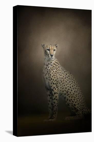 The Elegant Cheetah-Jai Johnson-Stretched Canvas