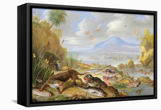 The Element of Water, 1660-Jan van Kessel the Elder-Framed Stretched Canvas