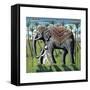 The Elephant and Boy, 2008-PJ Crook-Framed Stretched Canvas