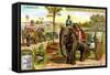 The Elephant as Draught Animal, C1900-null-Framed Stretched Canvas