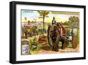 The Elephant as Draught Animal, C1900-null-Framed Giclee Print