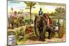 The Elephant as Draught Animal, C1900-null-Mounted Giclee Print