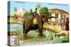 The Elephant as Postman, C1900-null-Stretched Canvas