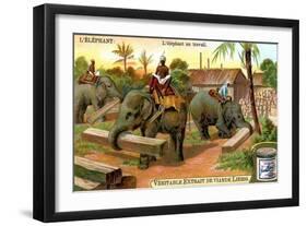 The Elephant at Work, C1900-null-Framed Giclee Print