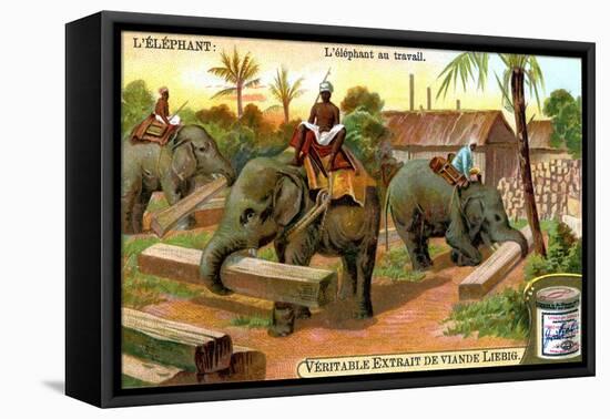 The Elephant at Work, C1900-null-Framed Stretched Canvas