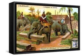 The Elephant at Work, C1900-null-Framed Stretched Canvas