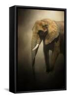 The Elephant Emerges-Jai Johnson-Framed Stretched Canvas