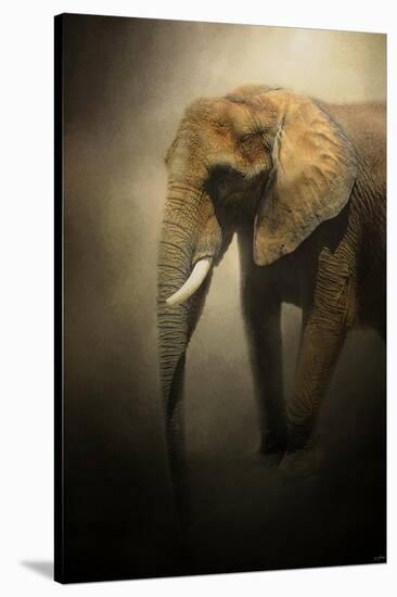 The Elephant Emerges-Jai Johnson-Stretched Canvas