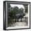 The Elephant in the Jardin Des Plantes, Paris, Circa 1895-1900-Leon, Levy et Fils-Framed Premium Photographic Print