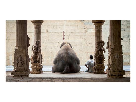 Art Print, , large