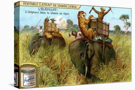 The Elephant on a Tiger Hunt, C1900-null-Stretched Canvas