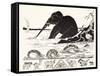 The Elephant's Child Having His Nose Pulled by the Crocodile-Rudyard Kipling-Framed Stretched Canvas