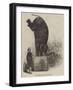 The Elephant's Feat, Astley's-null-Framed Giclee Print