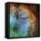 The Elephant Trunk Nebula-Stocktrek Images-Framed Stretched Canvas
