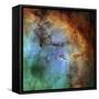 The Elephant Trunk Nebula-Stocktrek Images-Framed Stretched Canvas