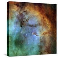 The Elephant Trunk Nebula-Stocktrek Images-Stretched Canvas