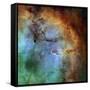 The Elephant Trunk Nebula-Stocktrek Images-Framed Stretched Canvas