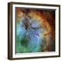 The Elephant Trunk Nebula-Stocktrek Images-Framed Premium Photographic Print