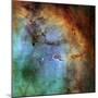 The Elephant Trunk Nebula-Stocktrek Images-Mounted Premium Photographic Print