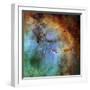 The Elephant Trunk Nebula-Stocktrek Images-Framed Photographic Print