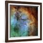 The Elephant Trunk Nebula-Stocktrek Images-Framed Photographic Print