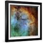 The Elephant Trunk Nebula-Stocktrek Images-Framed Photographic Print