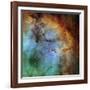 The Elephant Trunk Nebula-Stocktrek Images-Framed Photographic Print