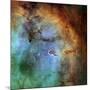 The Elephant Trunk Nebula-Stocktrek Images-Mounted Photographic Print