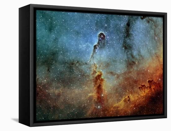 The Elephant Trunk Nebula-Stocktrek Images-Framed Stretched Canvas