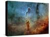 The Elephant Trunk Nebula-Stocktrek Images-Stretched Canvas
