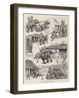 The Elephant Who Did-William Ralston-Framed Giclee Print