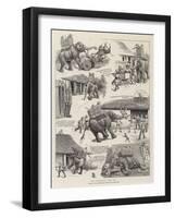 The Elephant Who Did-William Ralston-Framed Giclee Print