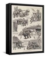 The Elephant Who Did-William Ralston-Framed Stretched Canvas