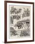 The Elephant Who Did-William Ralston-Framed Giclee Print