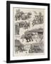 The Elephant Who Did-William Ralston-Framed Giclee Print