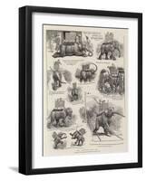 The Elephant Who Did-William Ralston-Framed Giclee Print