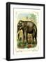 The Elephant-null-Framed Art Print