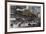 The Elevated Railway, Third Avenue, New York, 1879-null-Framed Giclee Print