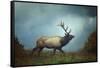 The Elk-Carrie Ann Grippo-Pike-Framed Stretched Canvas