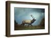 The Elk-Carrie Ann Grippo-Pike-Framed Photographic Print