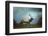 The Elk-Carrie Ann Grippo-Pike-Framed Photographic Print