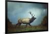 The Elk-Carrie Ann Grippo-Pike-Framed Photographic Print