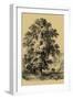 The Elm Tree-Vision Studio-Framed Art Print